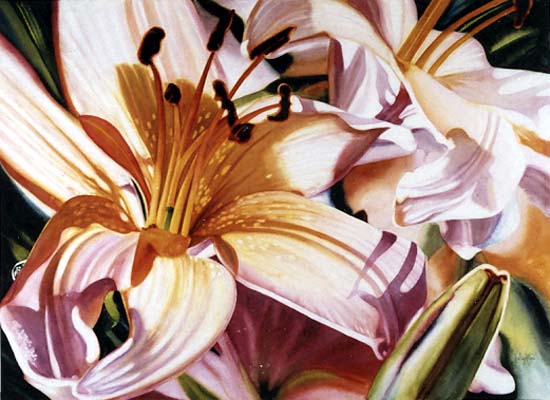 Tropical Lilies