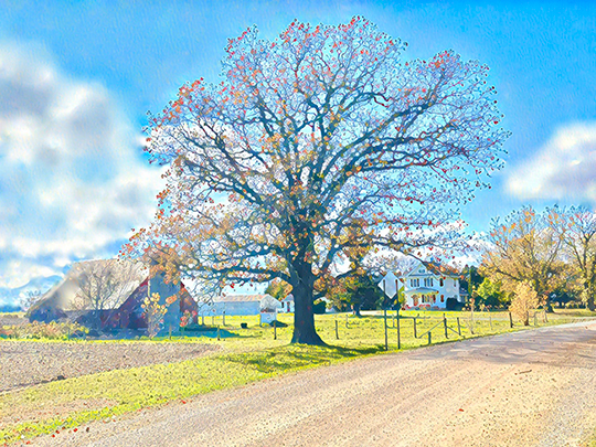 Family Farm